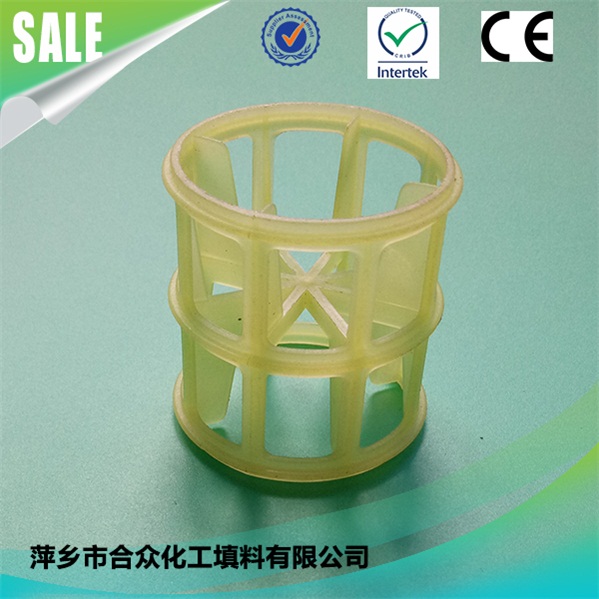 Plastic Hiflow Ring 塑料高流环 (3)